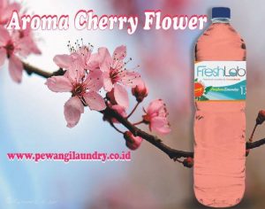 parfum-laundry-aroma-cherry-flower